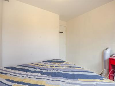 Picture 24